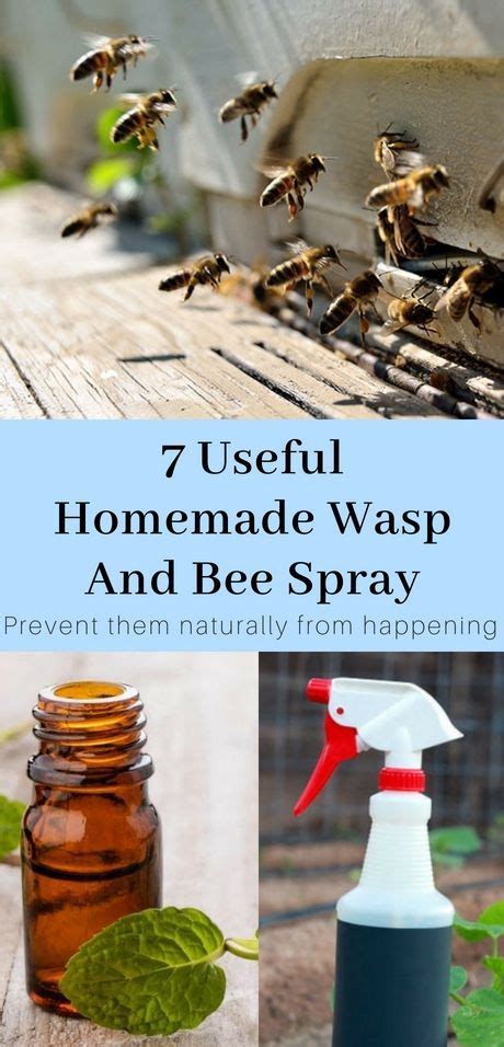 What essential oil keeps wasps away?