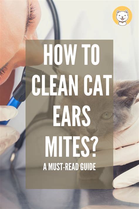 What essential oil kills ear mites?
