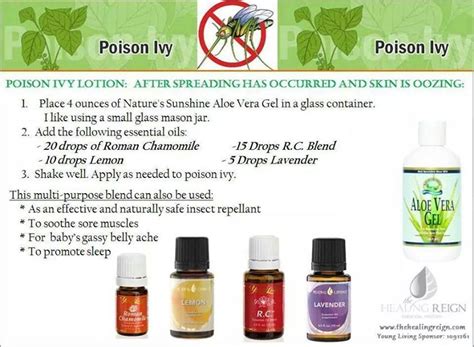 What essential oil kills poison ivy on skin?