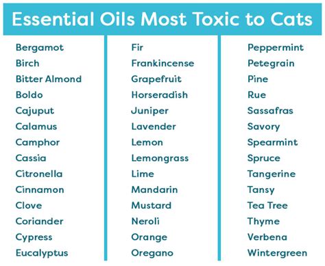 What essential oils are toxic to cats?