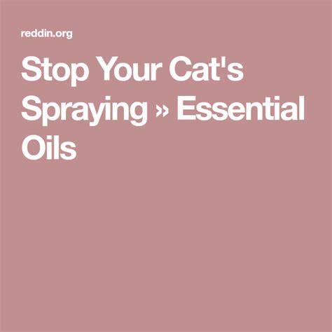 What essential oils stop cats from spraying?