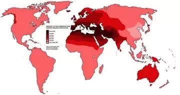 What ethnicity goes bald the most?