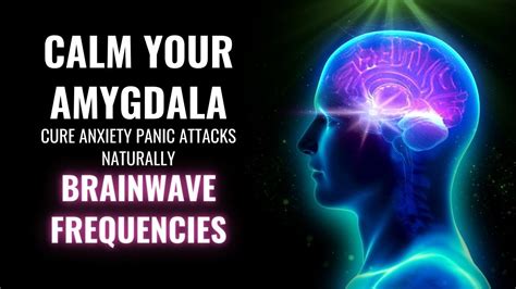 What exercises calm the amygdala?