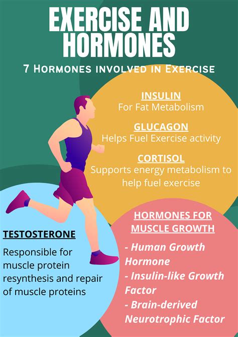 What exercises reset hormones?