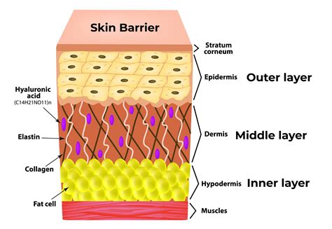 What fabric is closest to human skin?