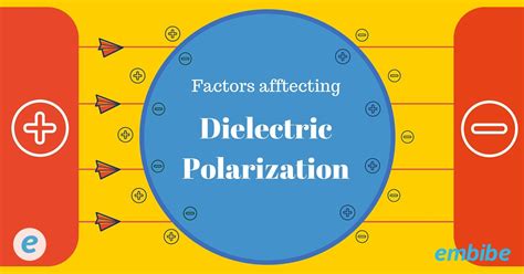 What factors affect Polarisation?