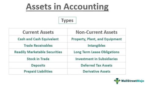 What falls under assets?