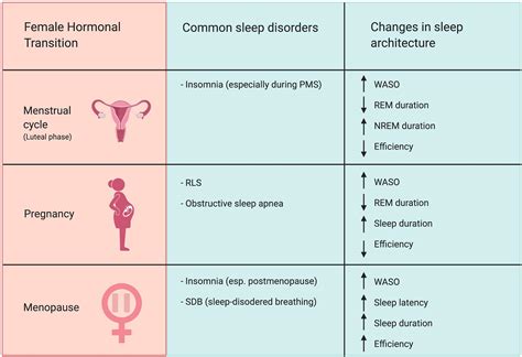 What female hormone makes you tired?