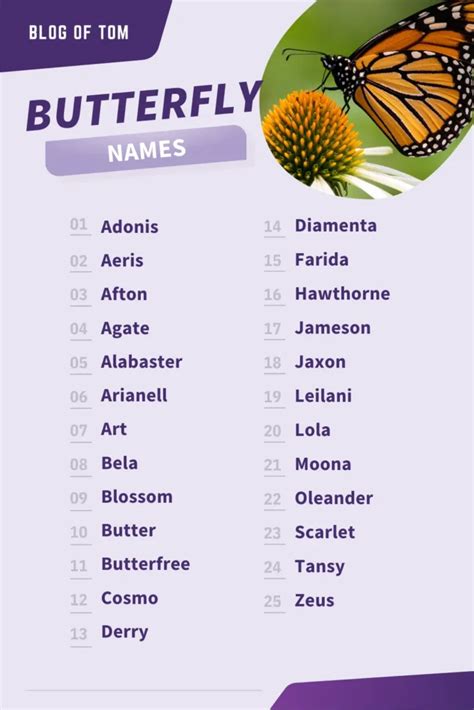 What female name means butterfly?