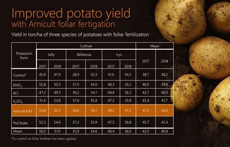 What fertilizer increases potato size?