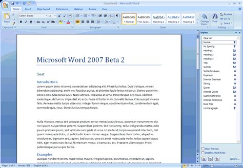 What file is Word 2007?