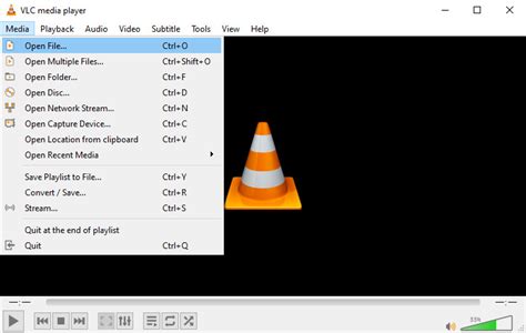 What file types will VLC play?