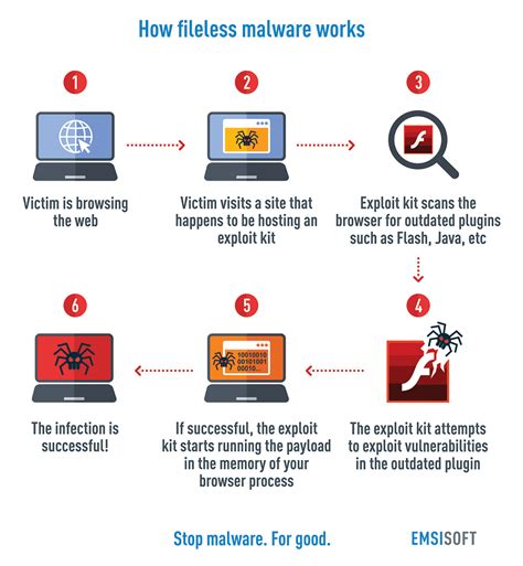 What files can malware be hidden in?