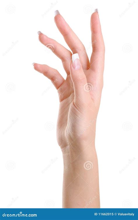 What fingers are attractive?