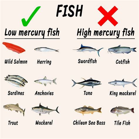 What fish are high in mercury?