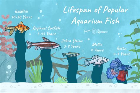 What fish has 100 year lifespan?