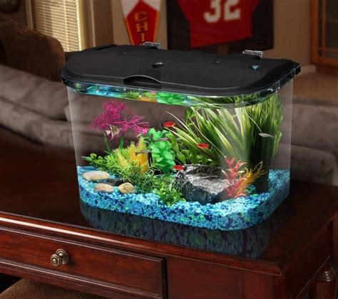 What fish need the smallest tank?