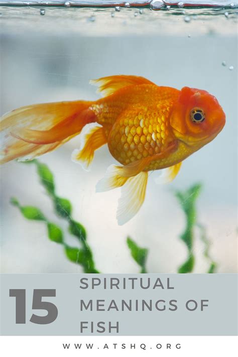What fish symbolize love?