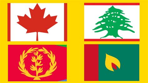 What flag has trees?