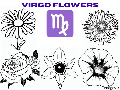 What flower is a Virgo?