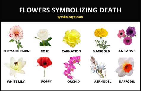 What flower means death and sorrow?