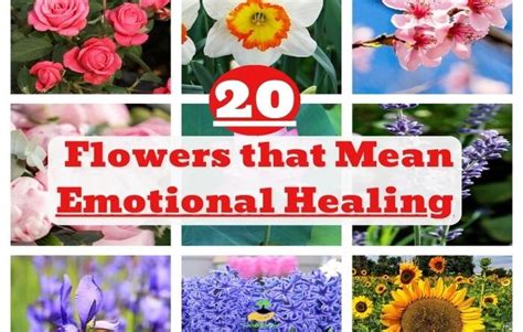 What flower means emotional?