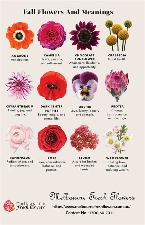 What flower means insane?