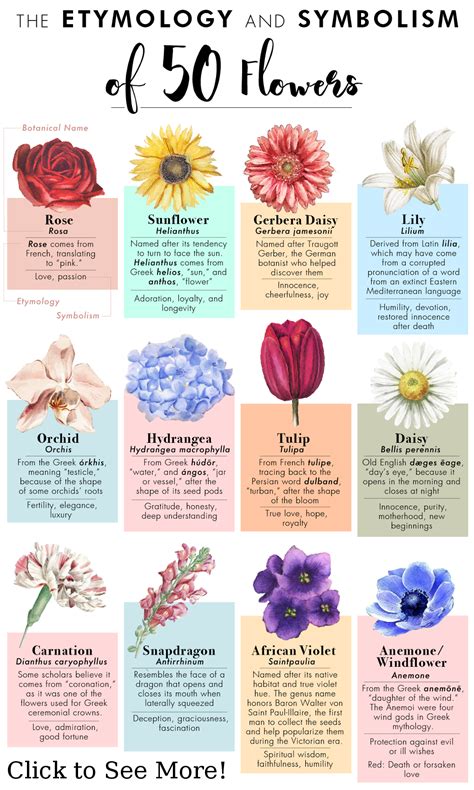 What flower means rejected love?