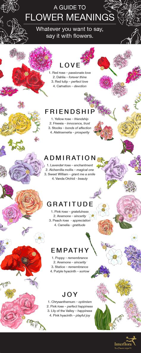 What flower represents feelings?