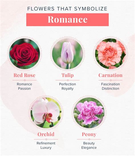 What flower represents romance?