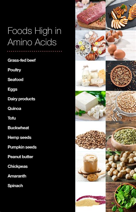 What food contains all 9 amino acids?