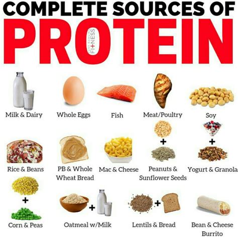 What foods are complete proteins?