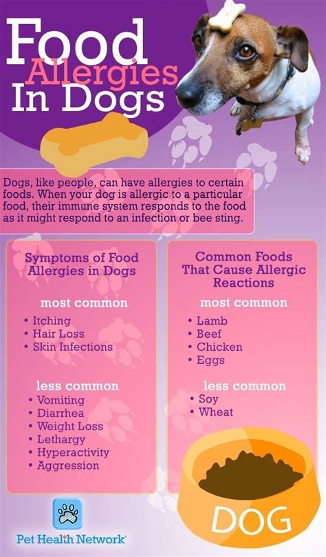 What foods are dogs most allergic to?