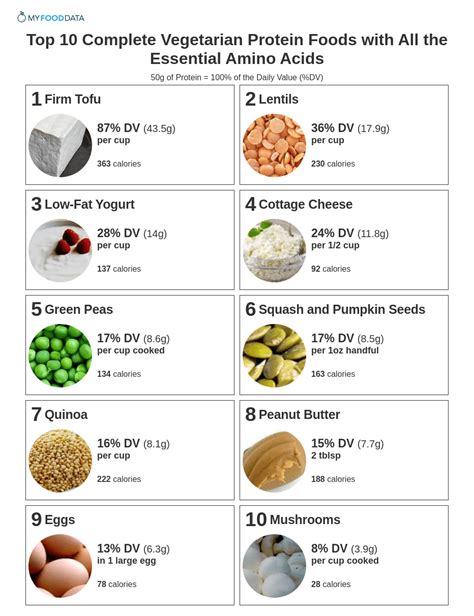 What foods are full of protein?