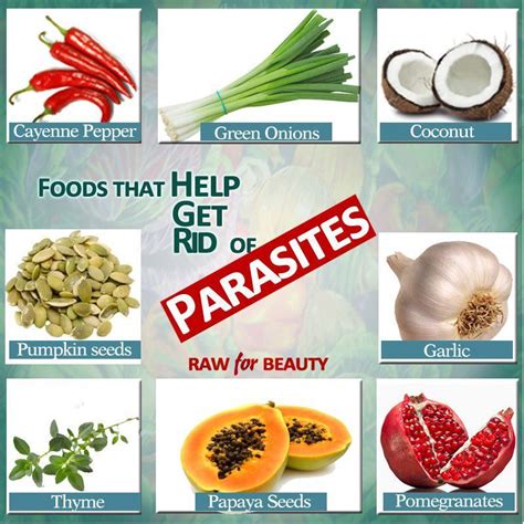 What foods attract parasites?