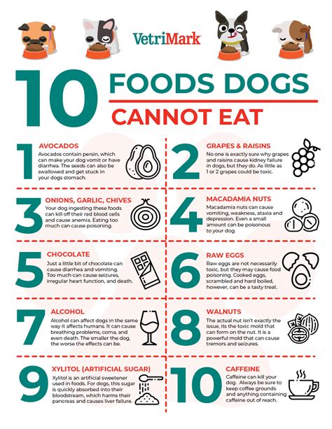 What foods can dogs not eat?