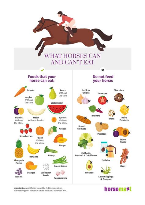 What foods can horses not eat?