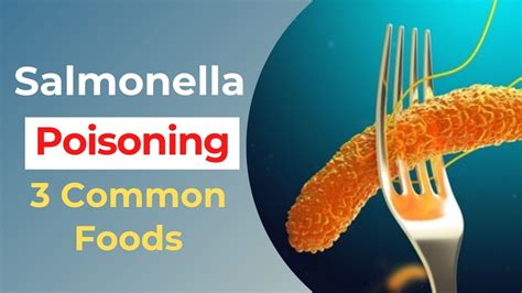 What foods carry Salmonella?