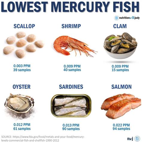 What foods contain high mercury?
