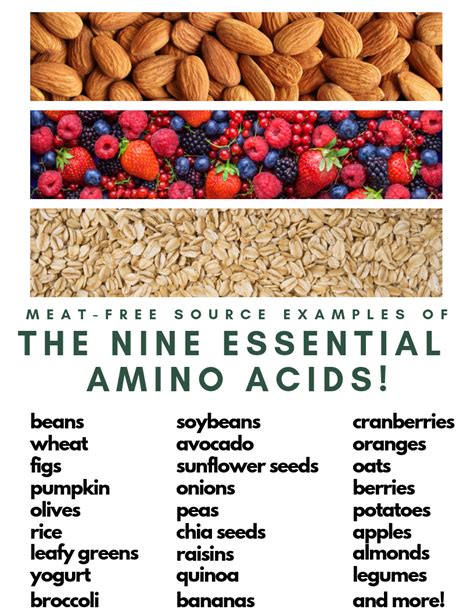 What foods have all 9 essential amino acids?