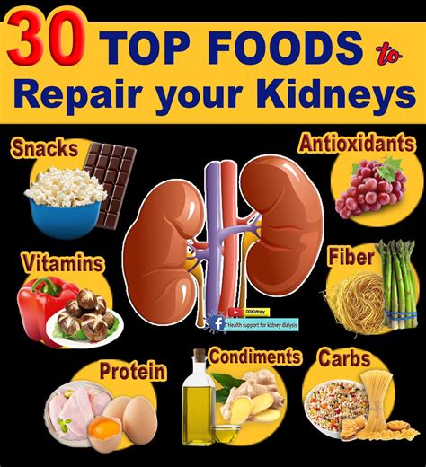 What foods help repair kidneys?