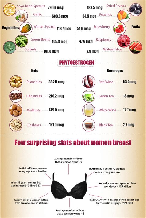 What foods increase breast size?