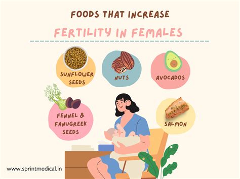 What foods increase female fertility?