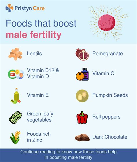 What foods increase fertility?