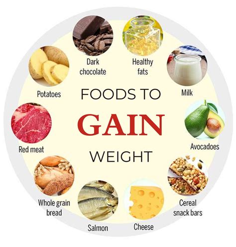 What foods make you feel full without gaining weight?