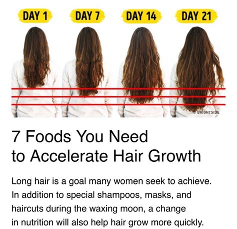 What foods speed up hair growth?