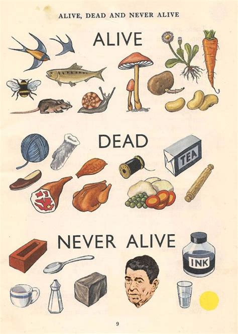 What foods were never alive?