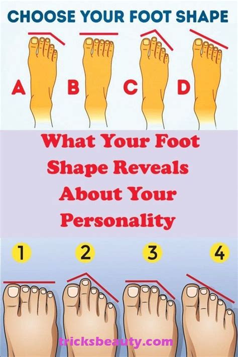 What foot shape is most common?