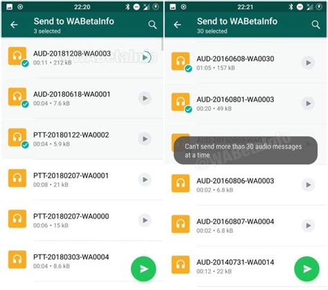 What format is WhatsApp audio?