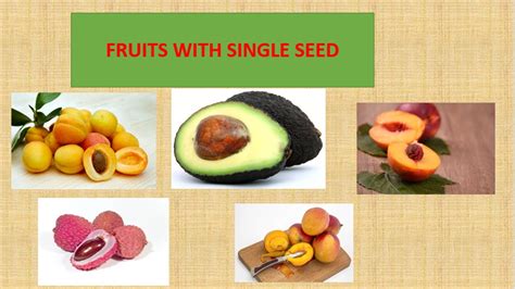 What fruit has one seed?
